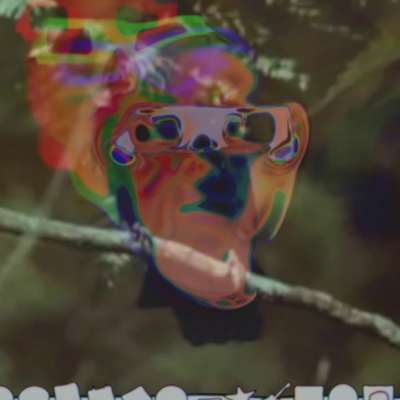 Superorganism have a new video for ‘Reflections On The Screen’