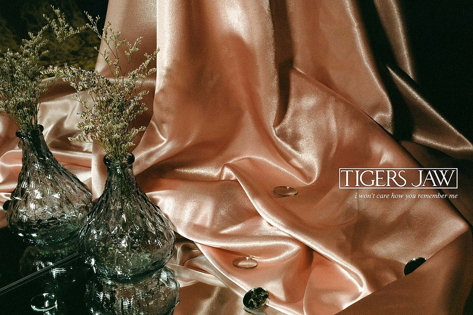 Tigers Jaw - I Won't Care How You Remember Me
