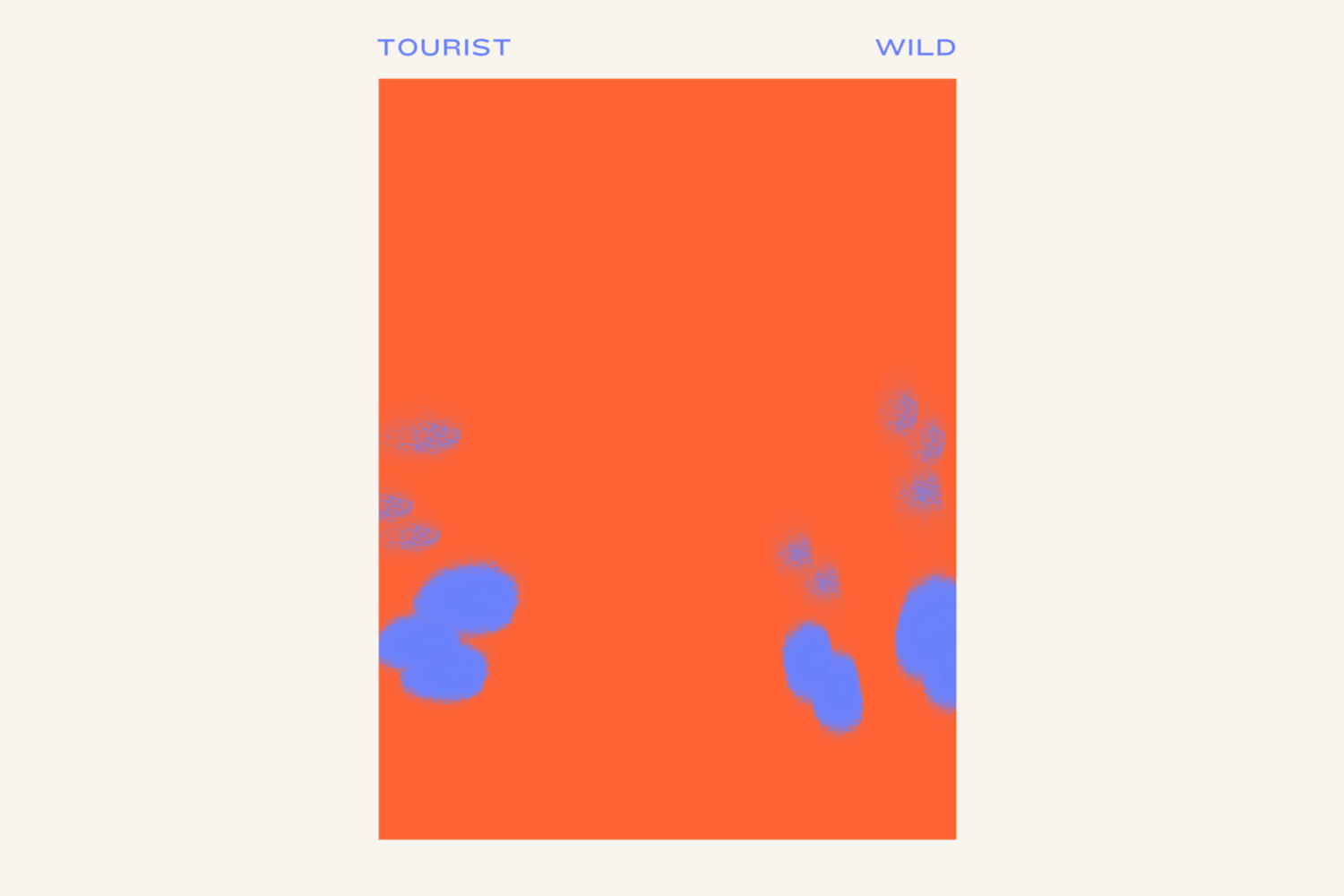 Tourist - Wild