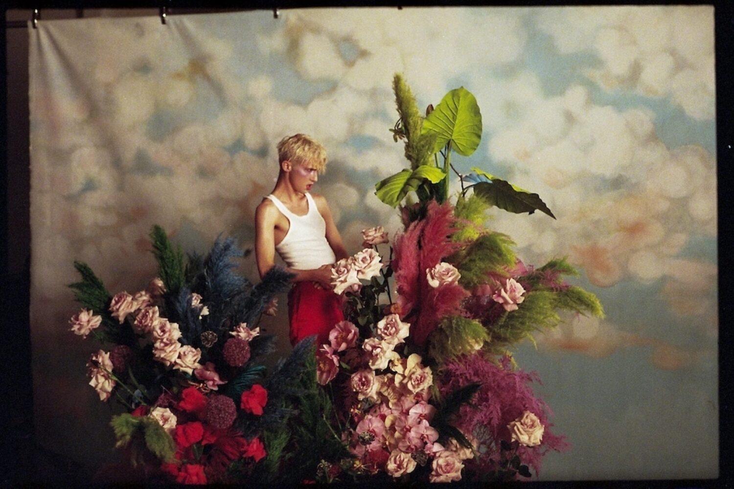 Listen to Troye Sivan’s new album ‘Bloom’