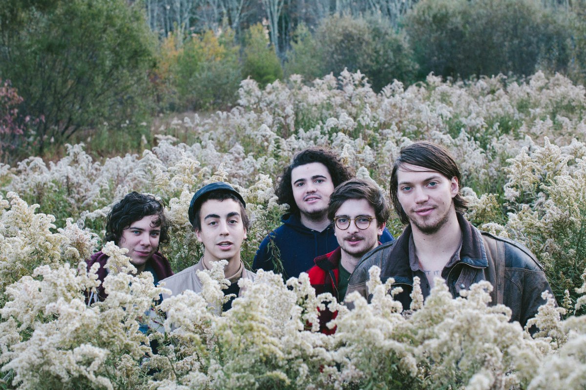 Twin Peaks - Walk to the One You Love