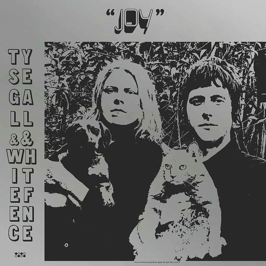 Ty Segall and White Fence - Joy