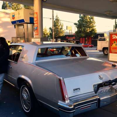Wavves are back! New album ‘You’re Welcome’ is out in May